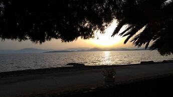 Finikas