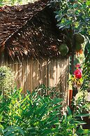 Siem Reap Homesteading