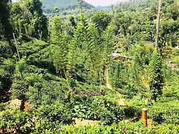 Tea Cabins