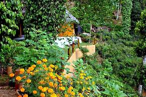 Tea Cabins