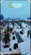 The Orchard Retreat & Spa, Srinagar