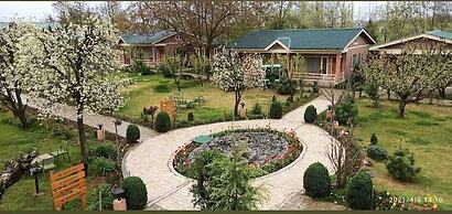 The Orchard Retreat & Spa, Srinagar