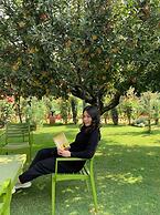 The Orchard Retreat & Spa, Srinagar