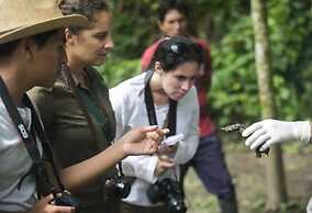 Amak Iquitos Ecolodge