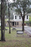 Dacelo