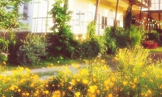 Thorfun Guesthouse in the Garden
