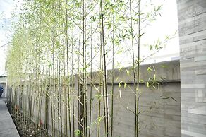 Green Palm