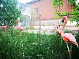 Baisha Flamingo Hotel