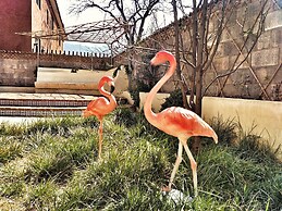 Baisha Flamingo Hotel