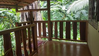 Colibri Surf House & Flats