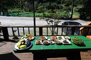 Wonju Chiak Mountain Club Pension