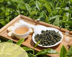 Sun Moon Tea Hotel