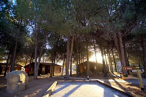 Kibbutz Ortal Tourism
