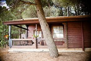 Kibbutz Ortal Tourism