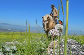 Kibbutz Ortal Tourism