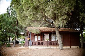 Kibbutz Ortal Tourism