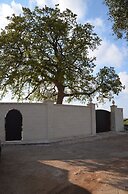 Masseria Poli