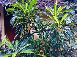 Tropicana homestay
