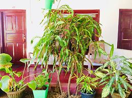 Tropicana homestay