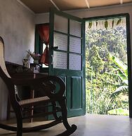 Meena Amma's Tea Experience