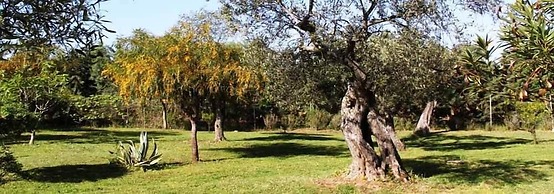 B&B Villa Grazia