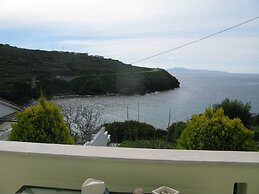 Blue Waves View
