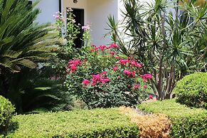 B&B Il Cavaliere