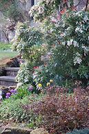 Lubnaig Guest House