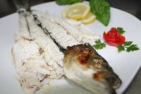Ristorante Hotel Avvenire