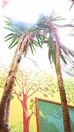 Secret Garden - Hostel