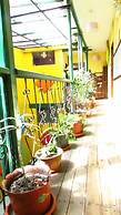 Secret Garden - Hostel
