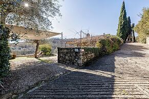 Terre di Baccio