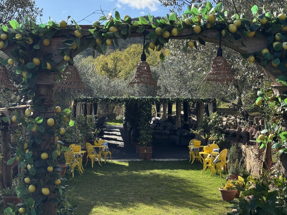 Terre di Baccio