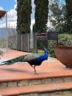 Terre di Baccio