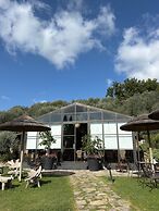 Terre di Baccio
