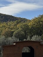 Terre di Baccio