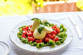 Terre di Baccio