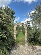 Terre di Baccio