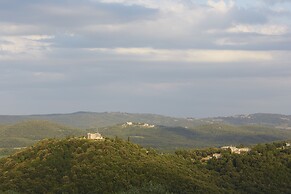 Azienda Agricola Montestigliano