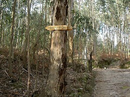 Cerrado do Cruzeiro