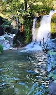 Aguas del Venero