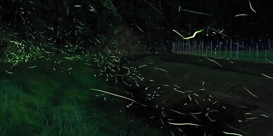 Tokuheian