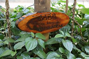 Pinthaliya Resort & Spa