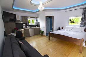 Villa Olive Tree