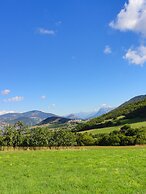 L'asphodèle