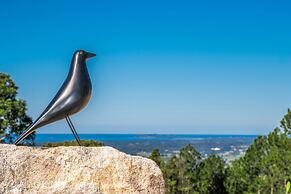 Blackbird