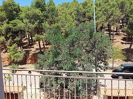 Chalet Asmoun