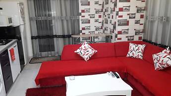 MC Suite
