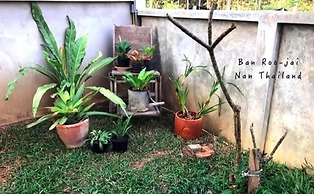 Ban Roojai