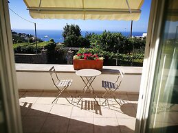 Villa Patrizi